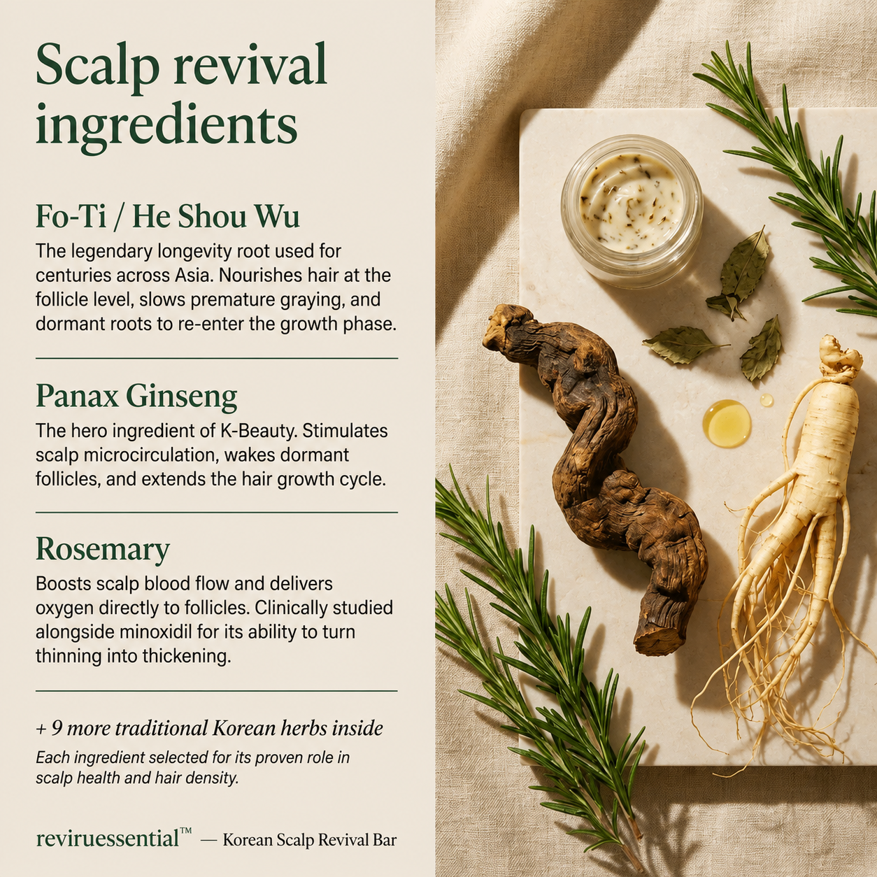 Korean scalp revival ingredients: Fo-Ti, Panax ginseng and rosemary